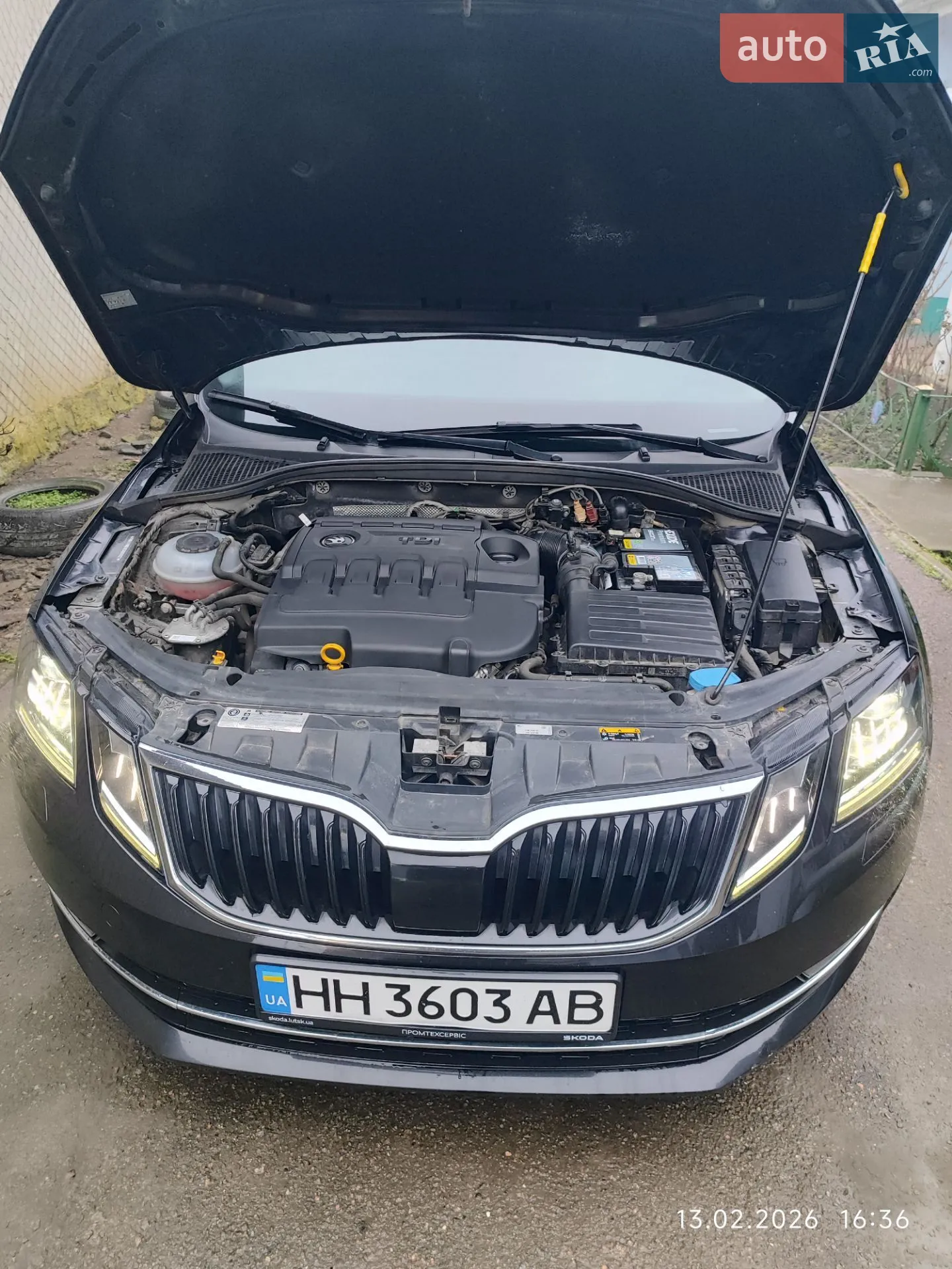 2018 Skoda Octavia - мініатюра 12