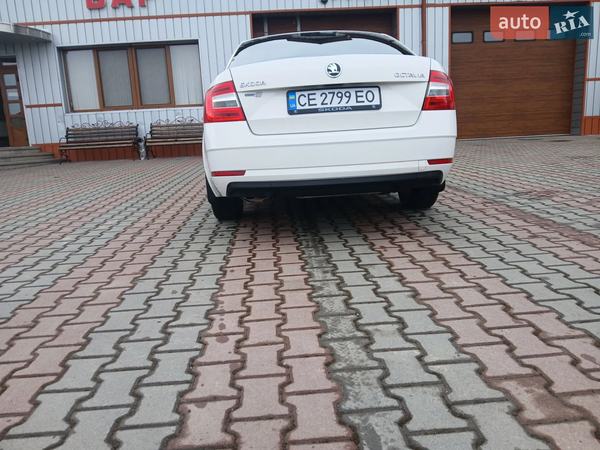 2017 Skoda Octavia - мініатюра 6