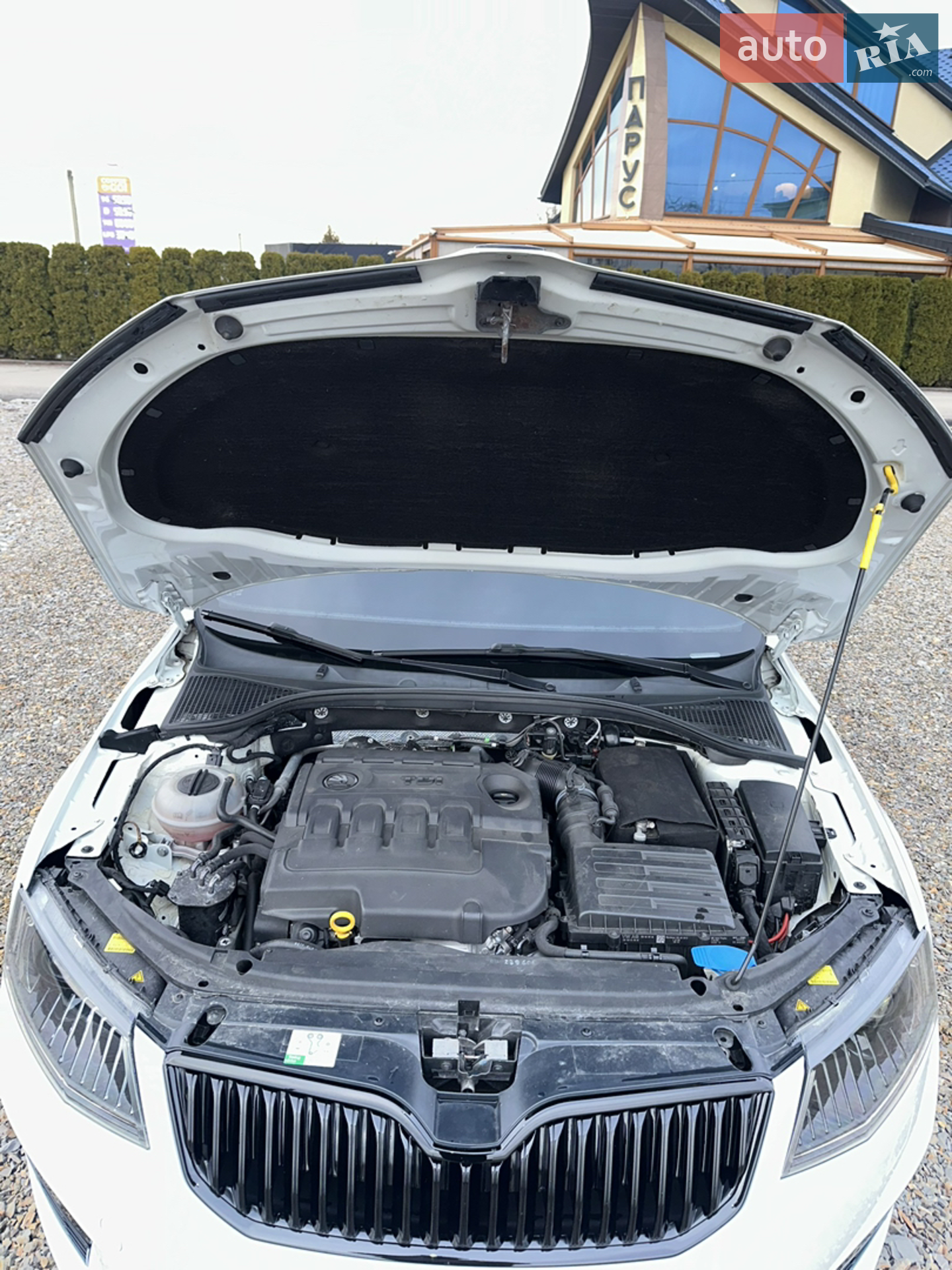 2016 Skoda Octavia - мініатюра 40