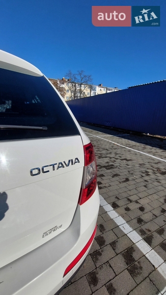 Универсал Skoda Octavia 2014 в Калуше