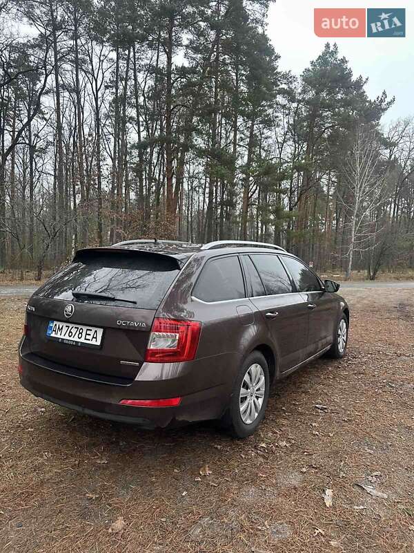 Универсал Skoda Octavia 2014 в Житомире