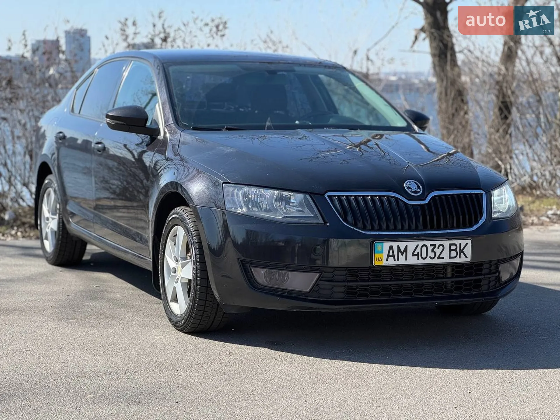2014 Skoda Octavia - мініатюра 2