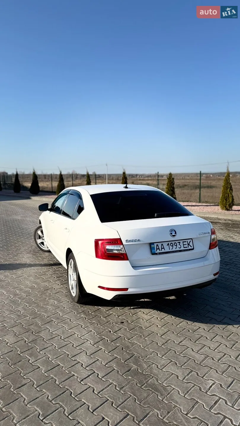 2019 Skoda Octavia - мініатюра 6