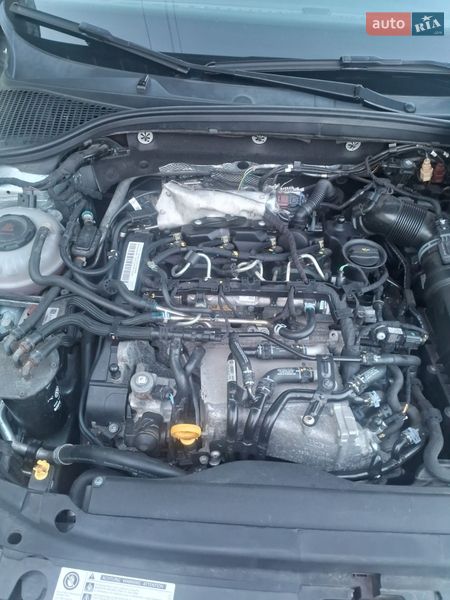 Універсал Skoda Octavia 2019 в Коростені