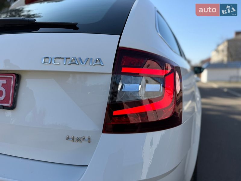 Универсал Skoda Octavia 2019 в Радивилове