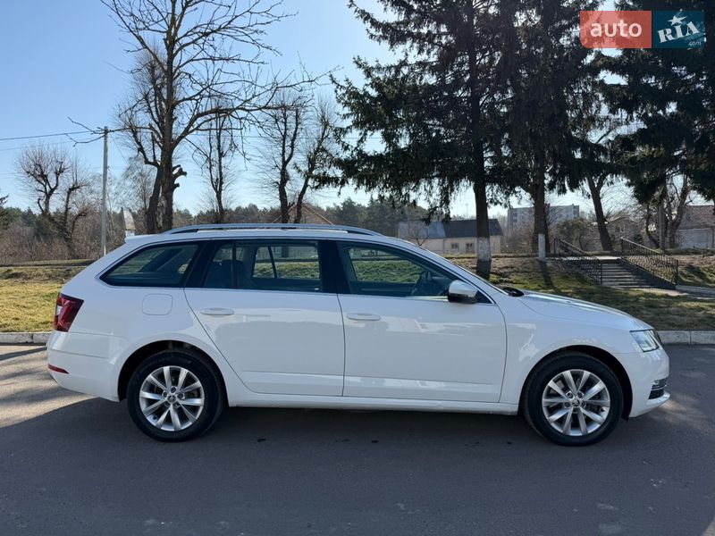 Универсал Skoda Octavia 2019 в Радивилове