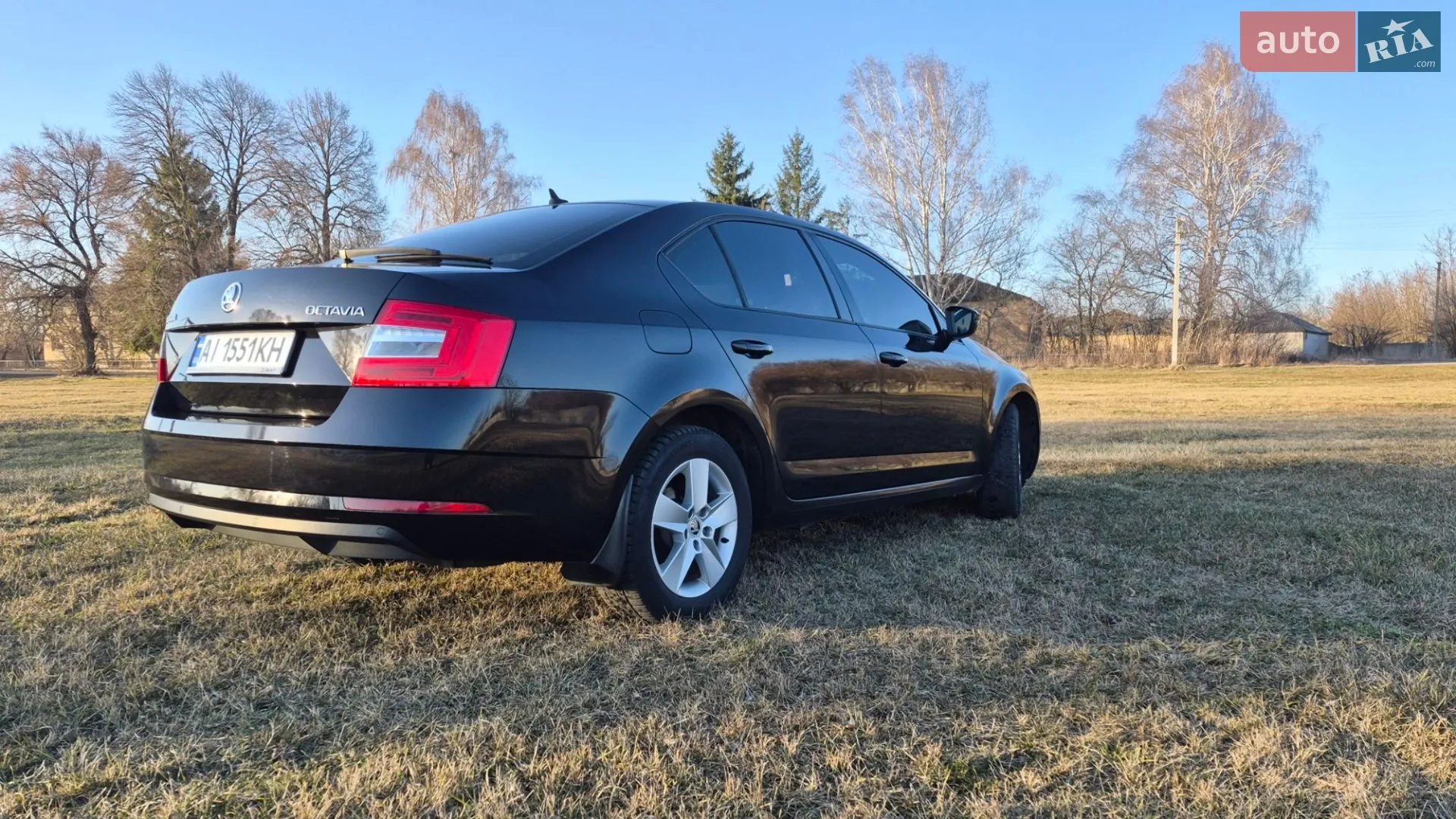 2018 Skoda Octavia - мініатюра 3