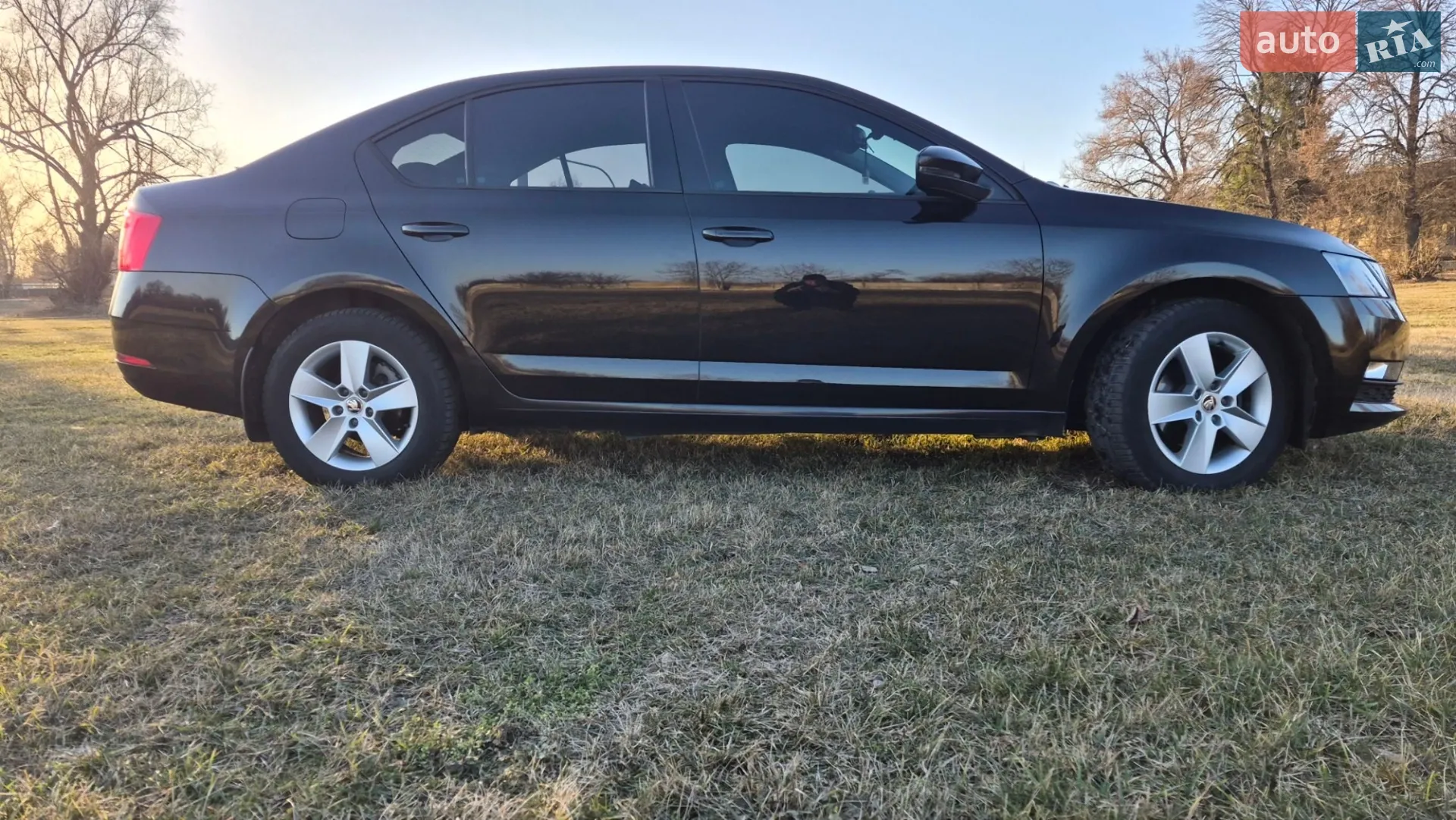 2018 Skoda Octavia - мініатюра 9