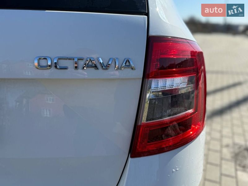 Универсал Skoda Octavia 2019 в Виннице фото 6 Универсал Skoda Octavia 2019 в Виннице