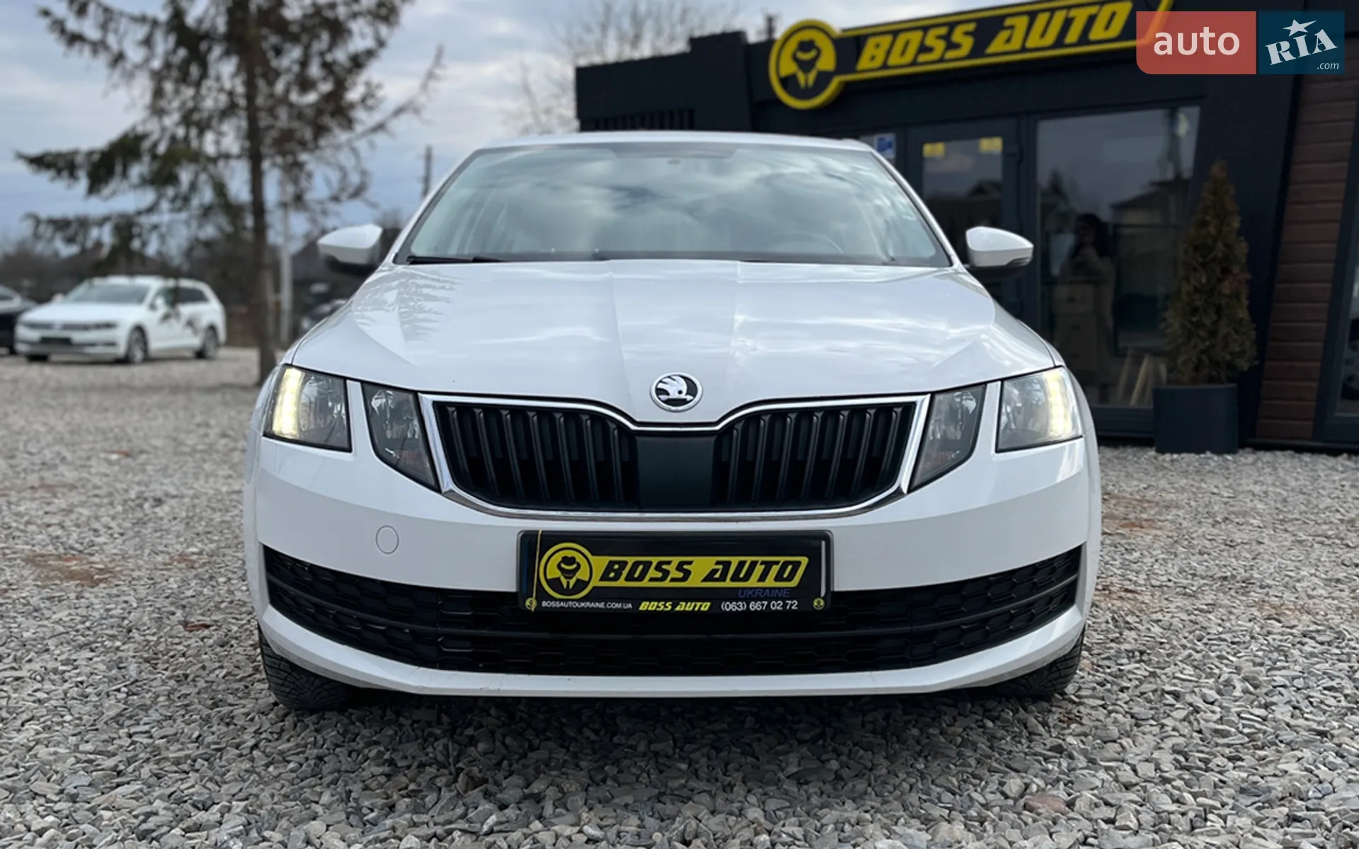 2019 Skoda Octavia - мініатюра 2