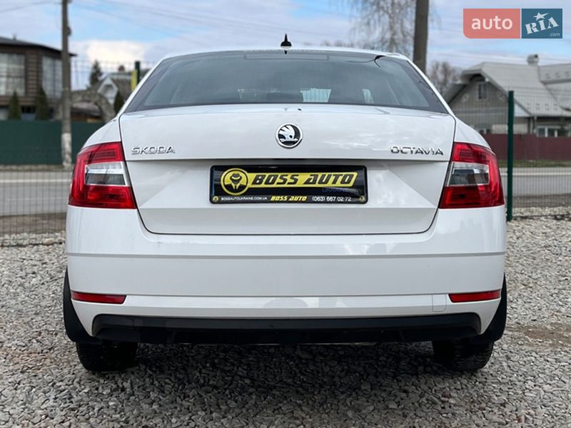 Ліфтбек Skoda Octavia 2019 в Коломиї