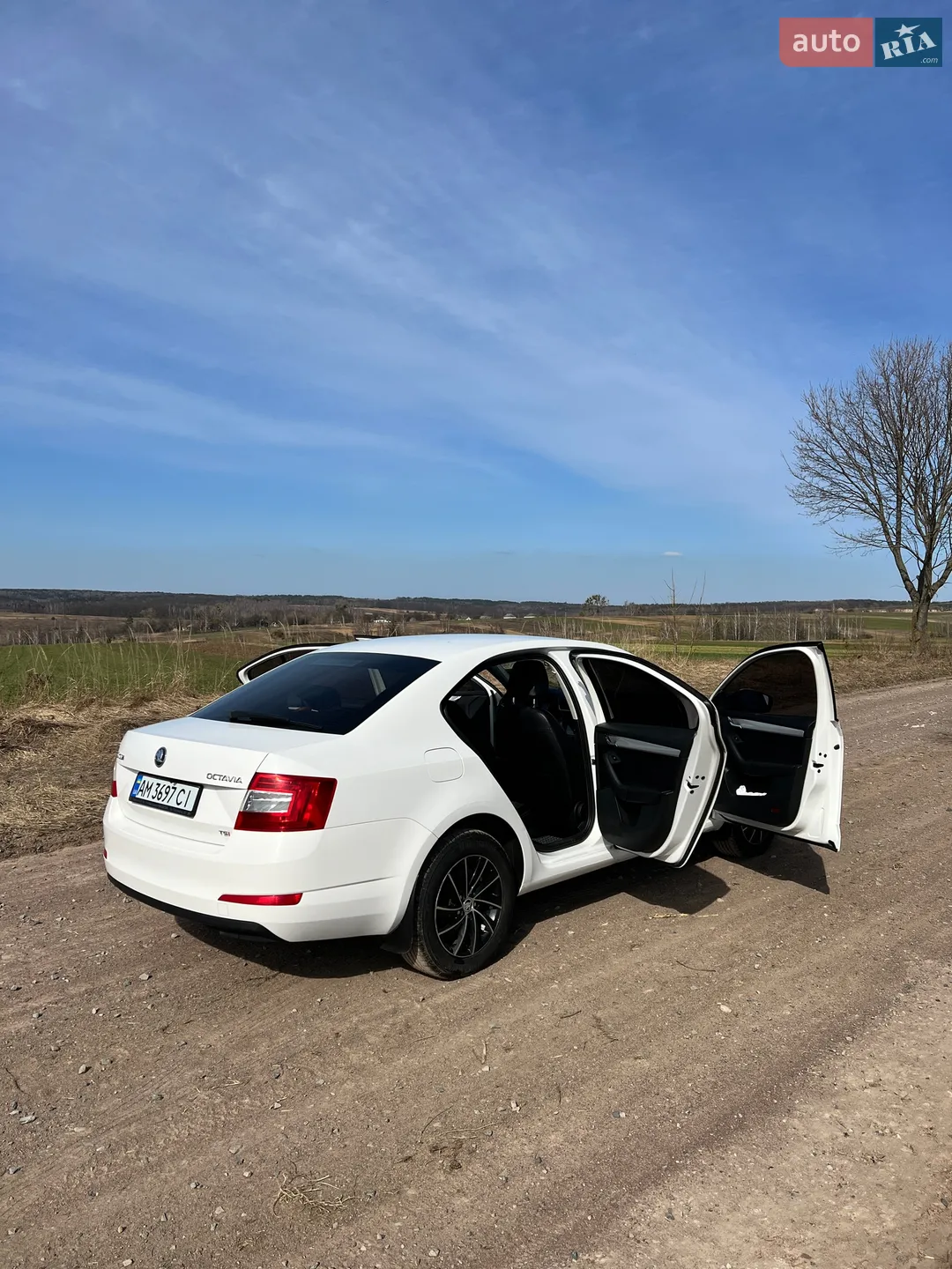 2013 Skoda Octavia - мініатюра 8