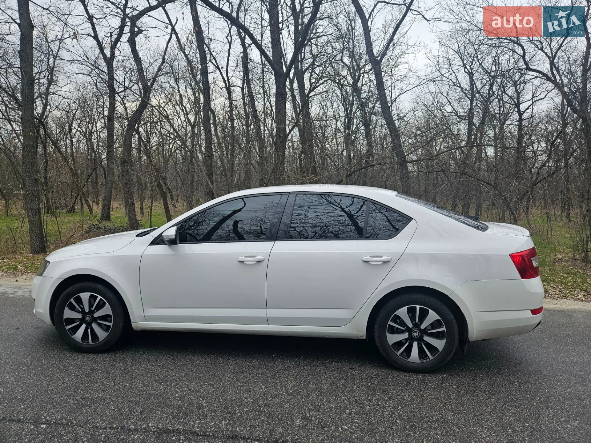 2016 Skoda Octavia - мініатюра 3