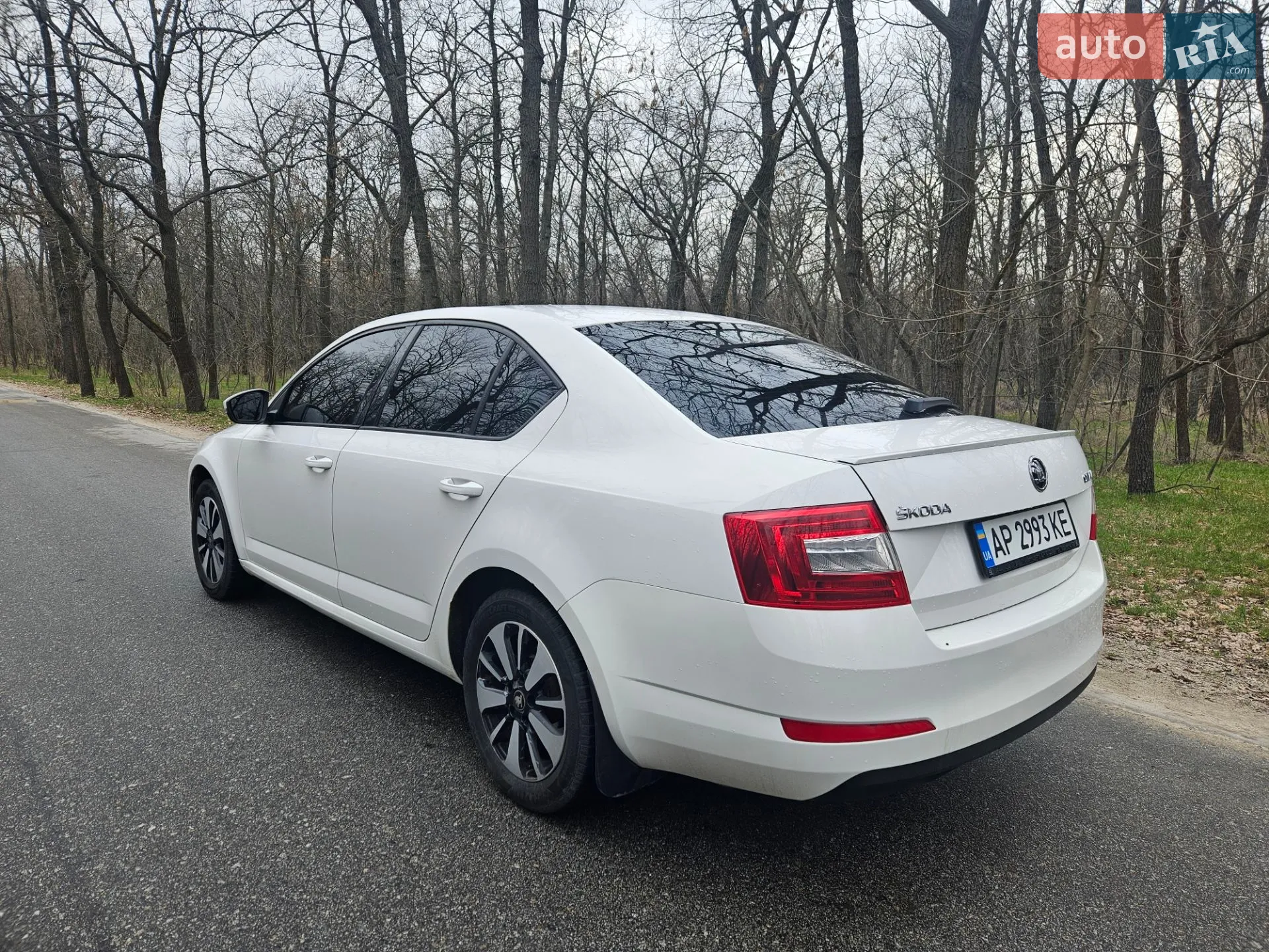 2016 Skoda Octavia - мініатюра 7