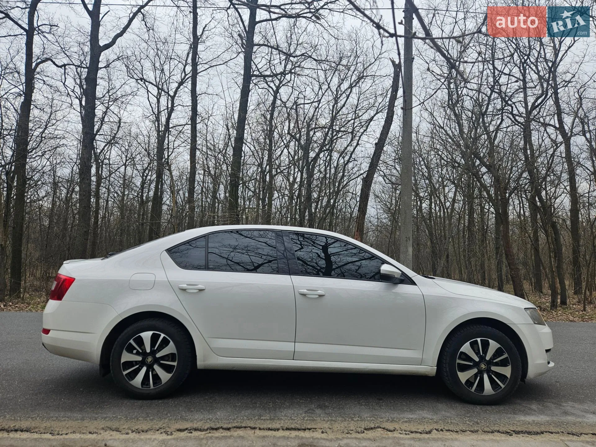 2016 Skoda Octavia - мініатюра 14