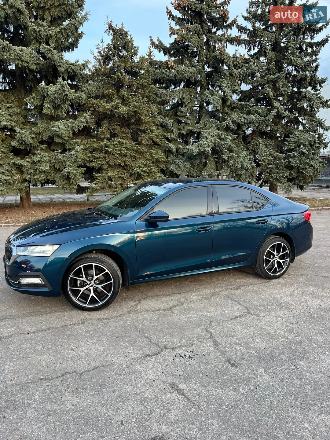 2021 Skoda Octavia - мініатюра 3