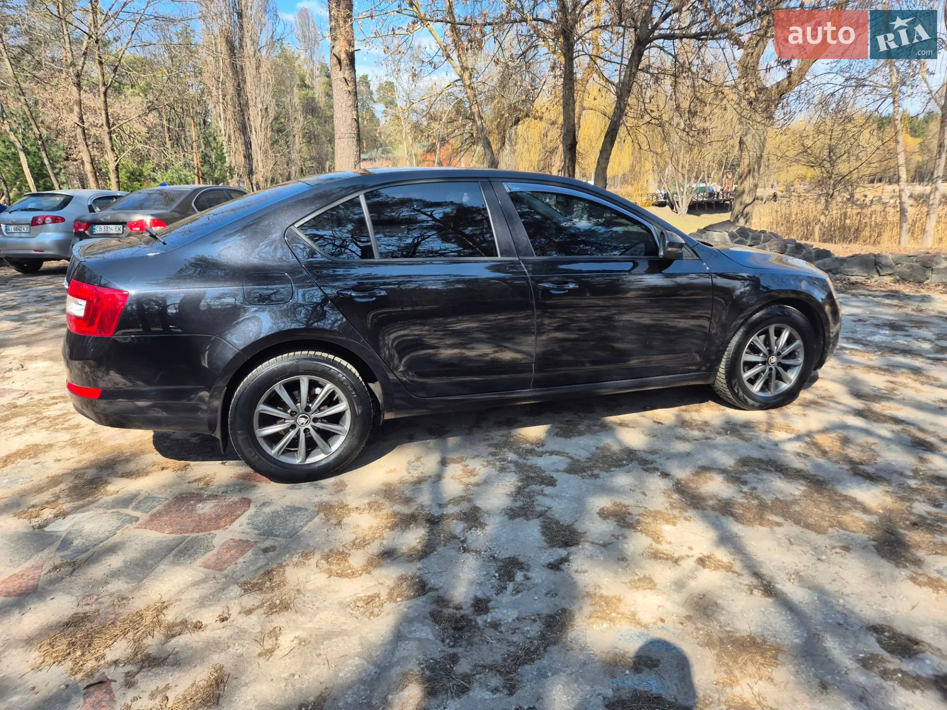 2013 Skoda Octavia - мініатюра 8