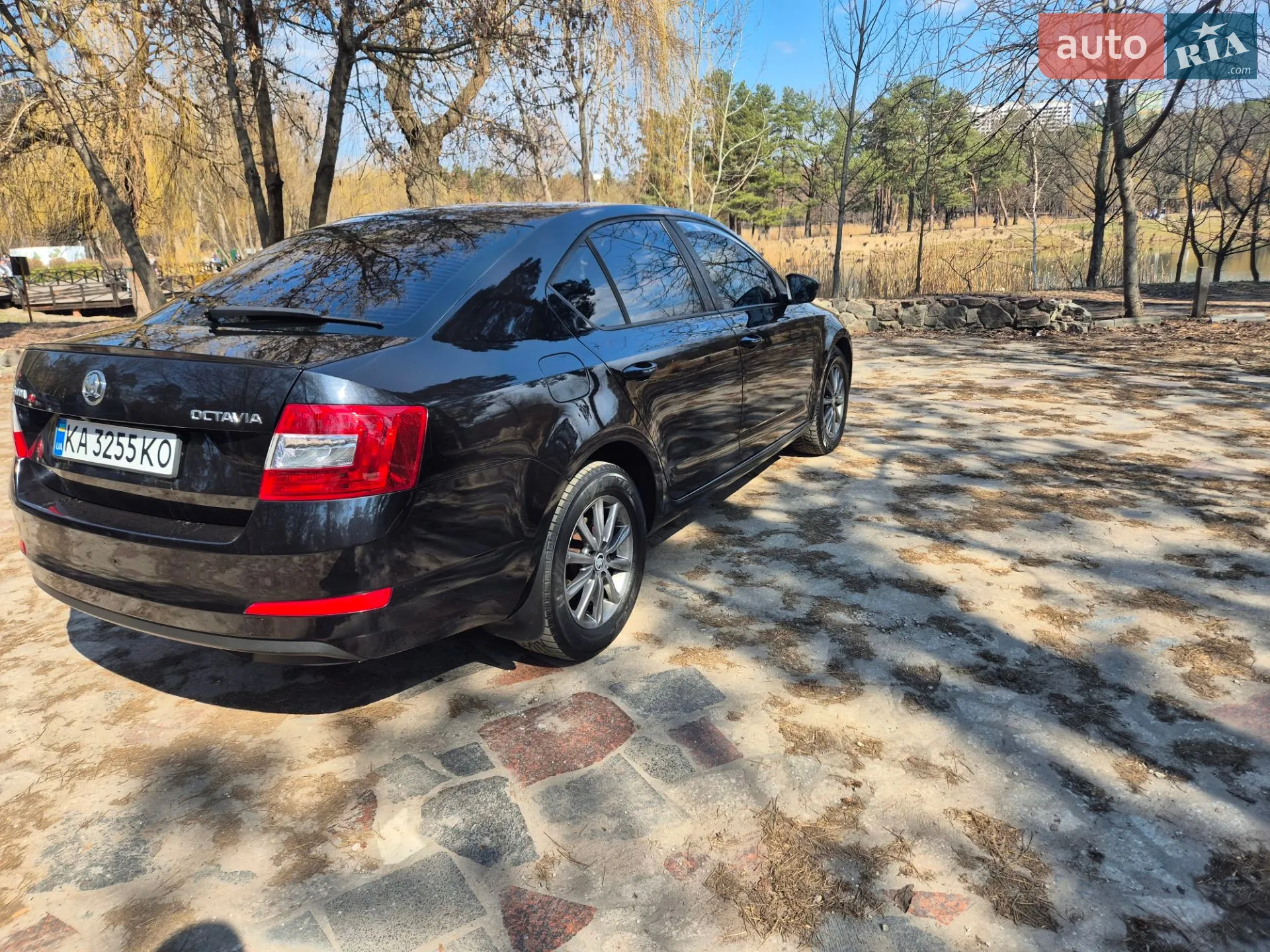 2013 Skoda Octavia - мініатюра 7