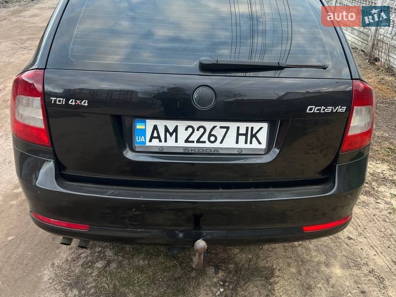 Универсал Skoda Octavia 2009 в Бердичеве