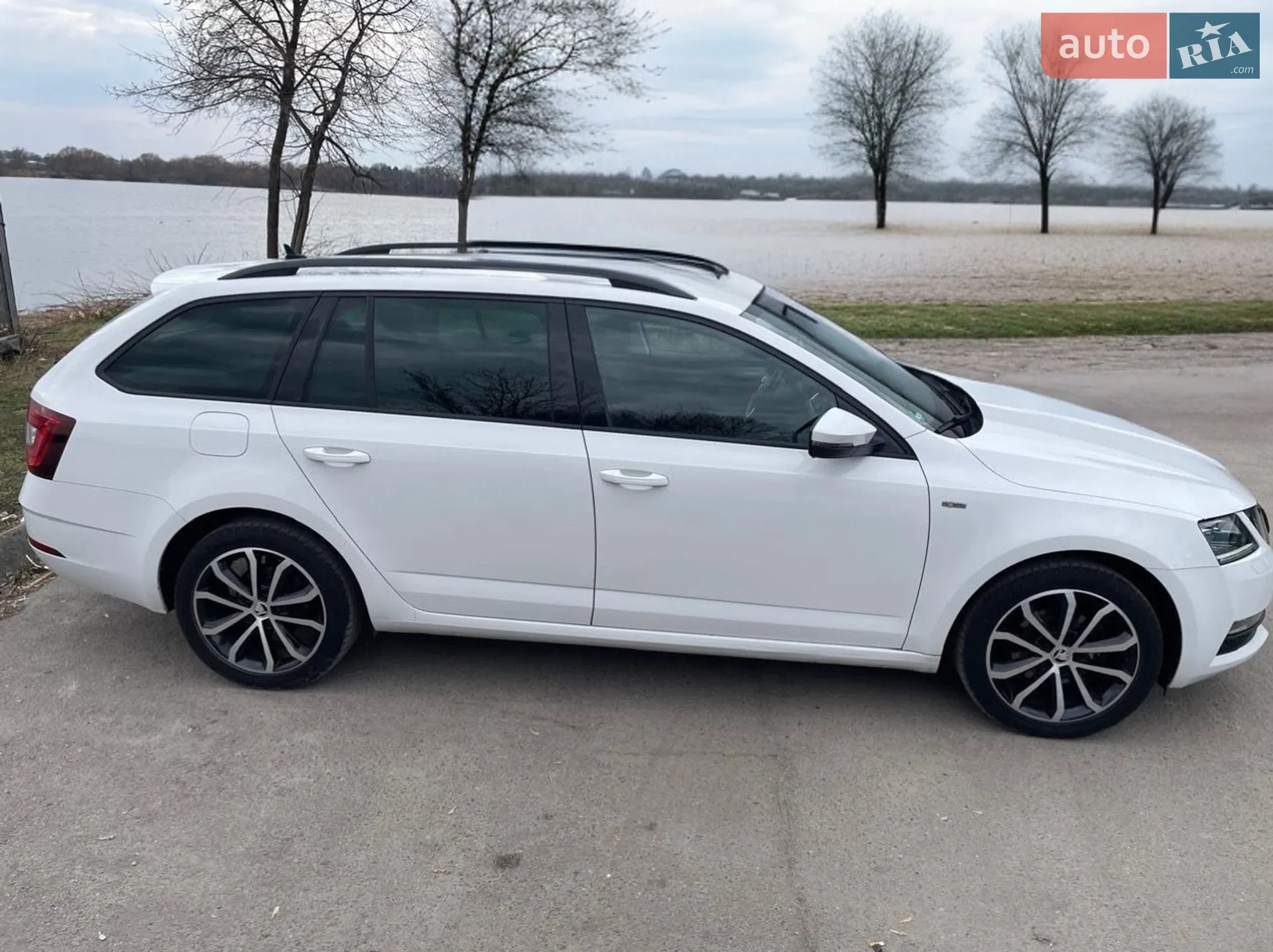 2019 Skoda Octavia - мініатюра 5