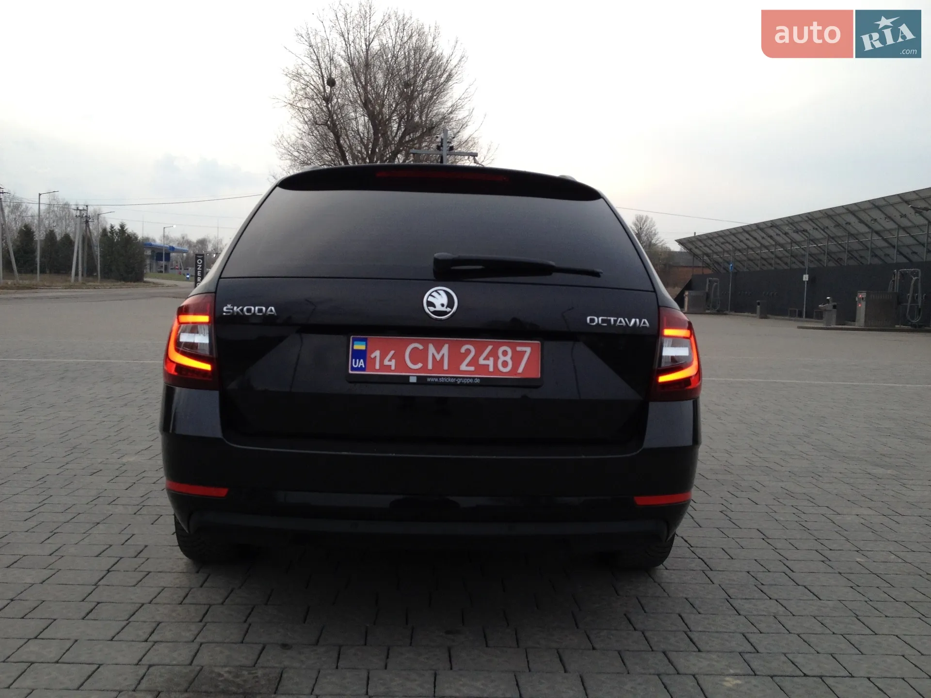2017 Skoda Octavia - мініатюра 5