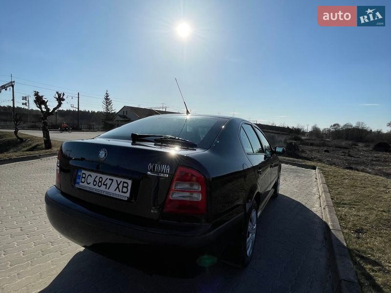 Лифтбек Skoda Octavia 2003 в Бродах