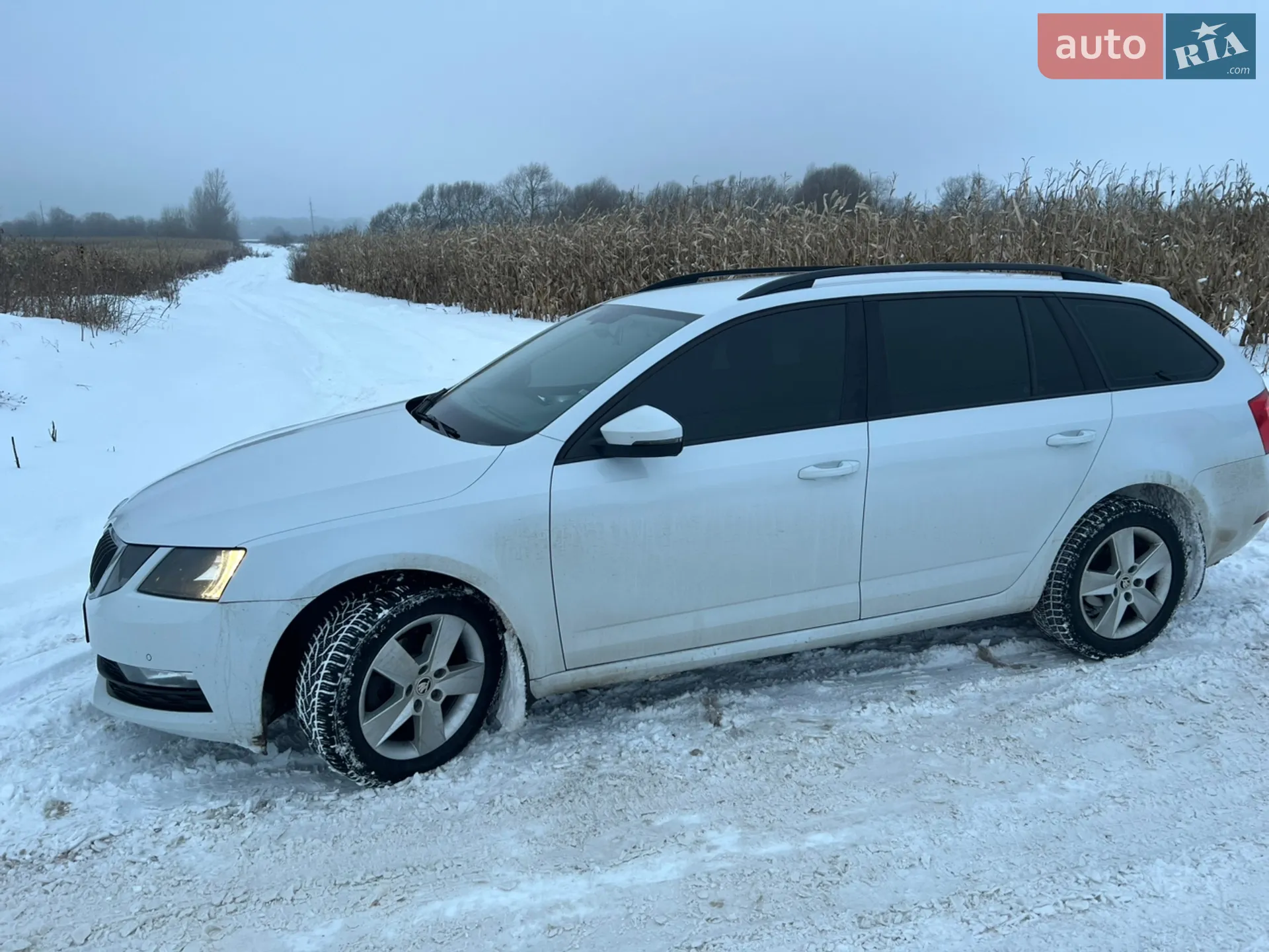 2018 Skoda Octavia - мініатюра 4