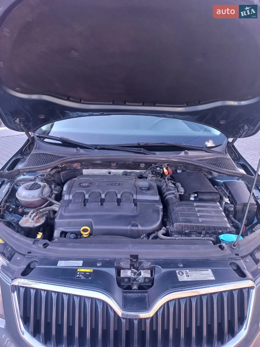 2015 Skoda Octavia - мініатюра 33