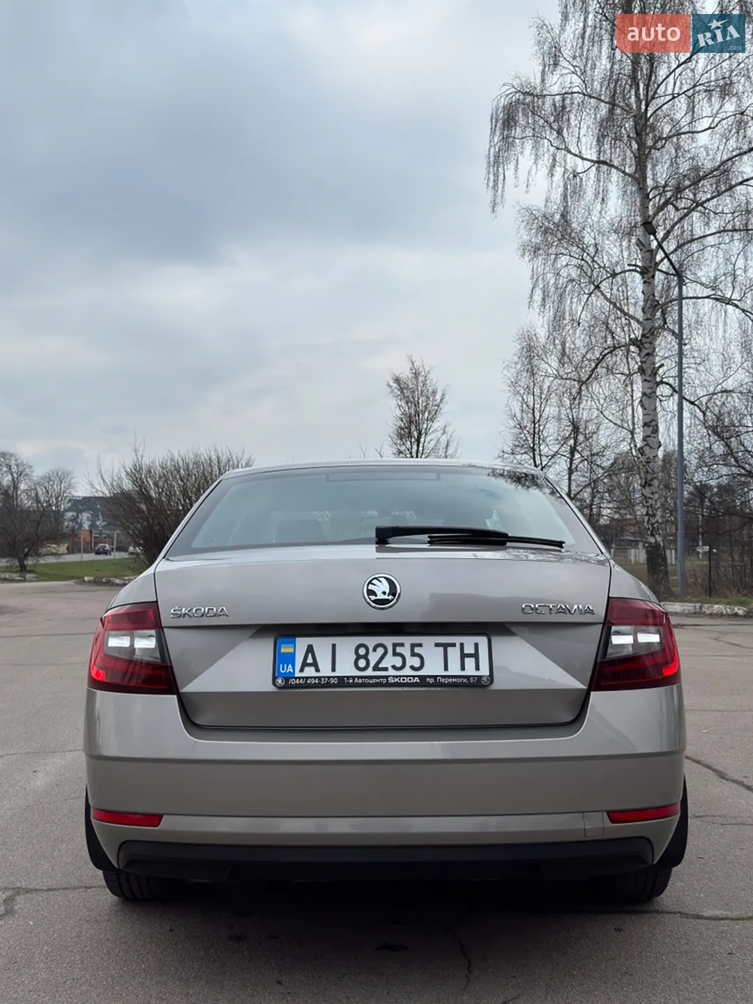 2017 Skoda Octavia - мініатюра 10
