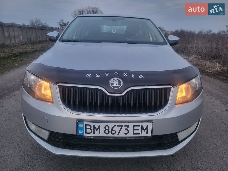 Лифтбек Skoda Octavia 2013 в Шостке