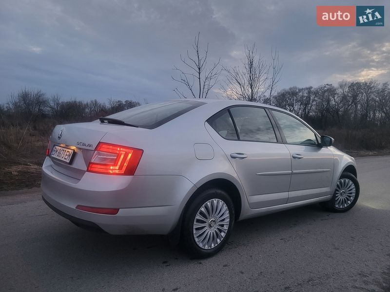 Лифтбек Skoda Octavia 2013 в Шостке