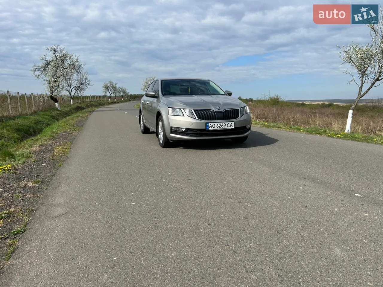2019 Skoda Octavia - мініатюра 32