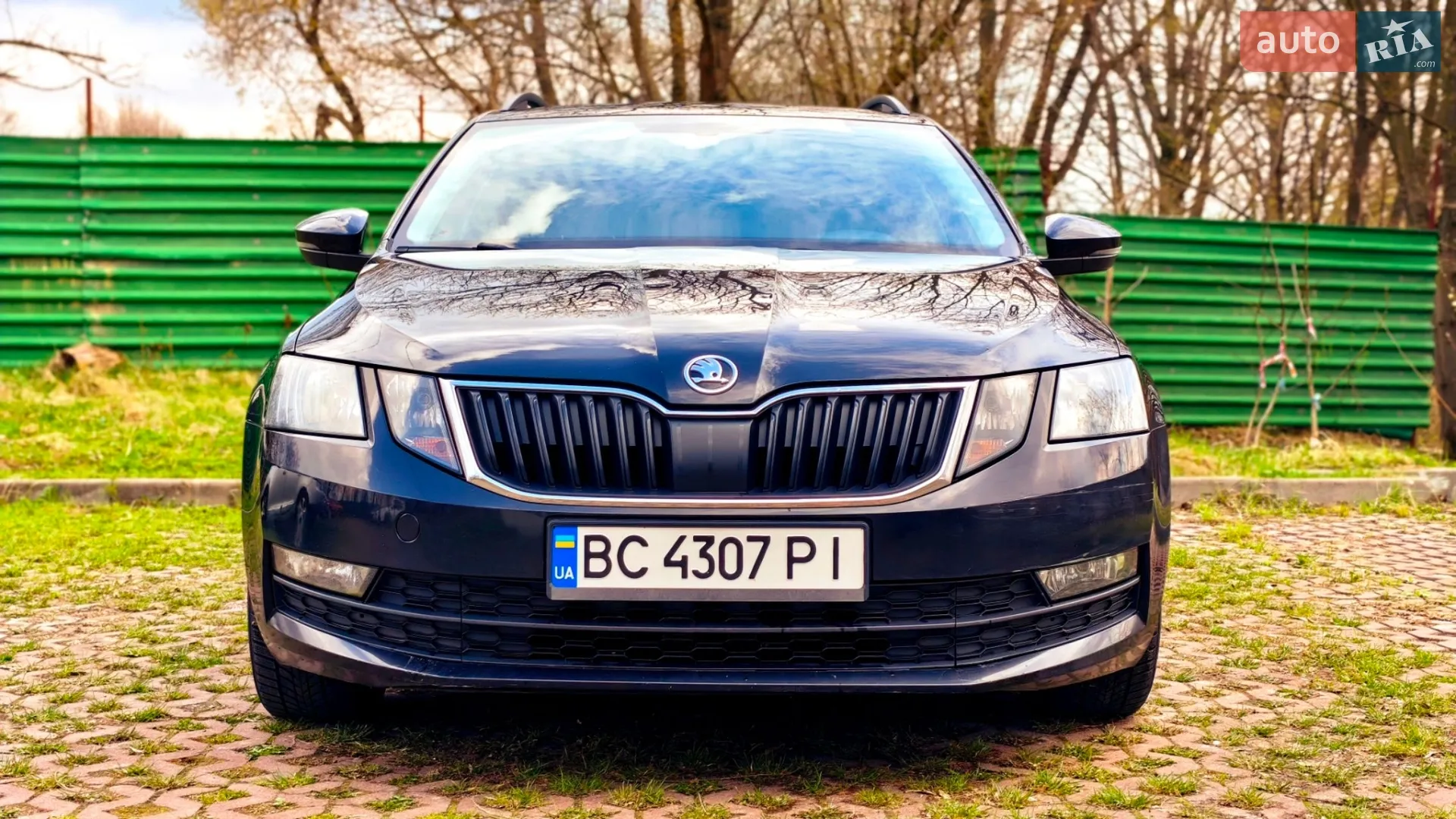 2017 Skoda Octavia - мініатюра 10