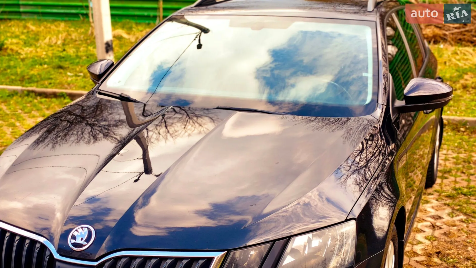 2017 Skoda Octavia - мініатюра 23