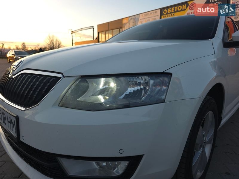 Універсал Skoda Octavia 2014 в Звягелі