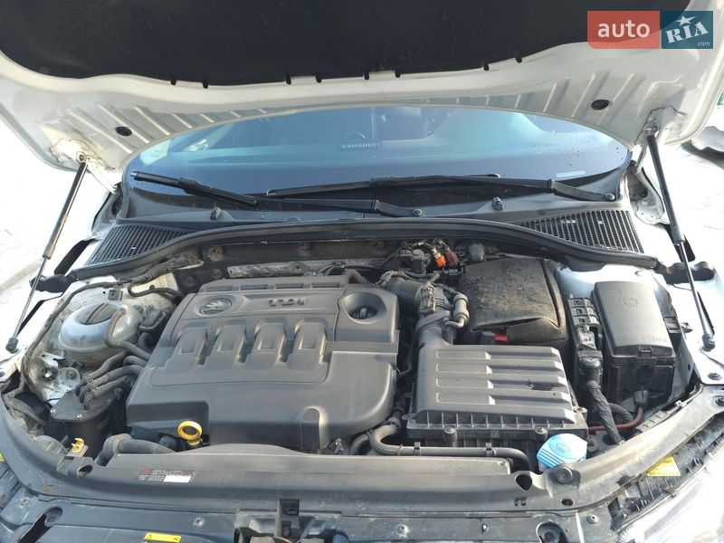 Універсал Skoda Octavia 2014 в Звягелі