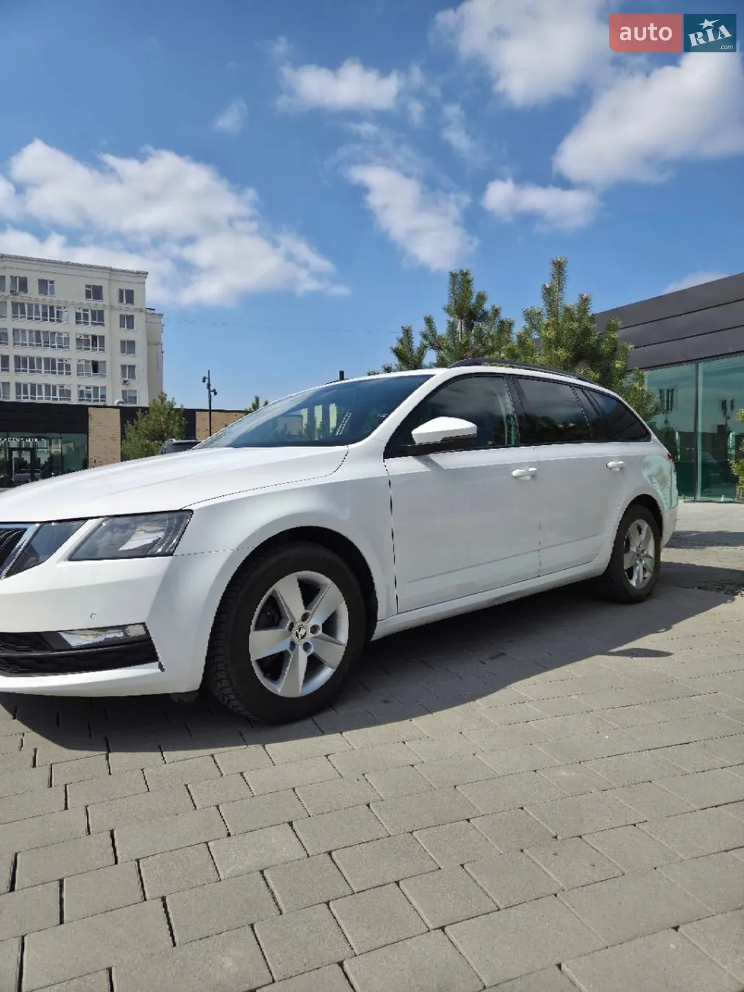 2019 Skoda Octavia - мініатюра 3
