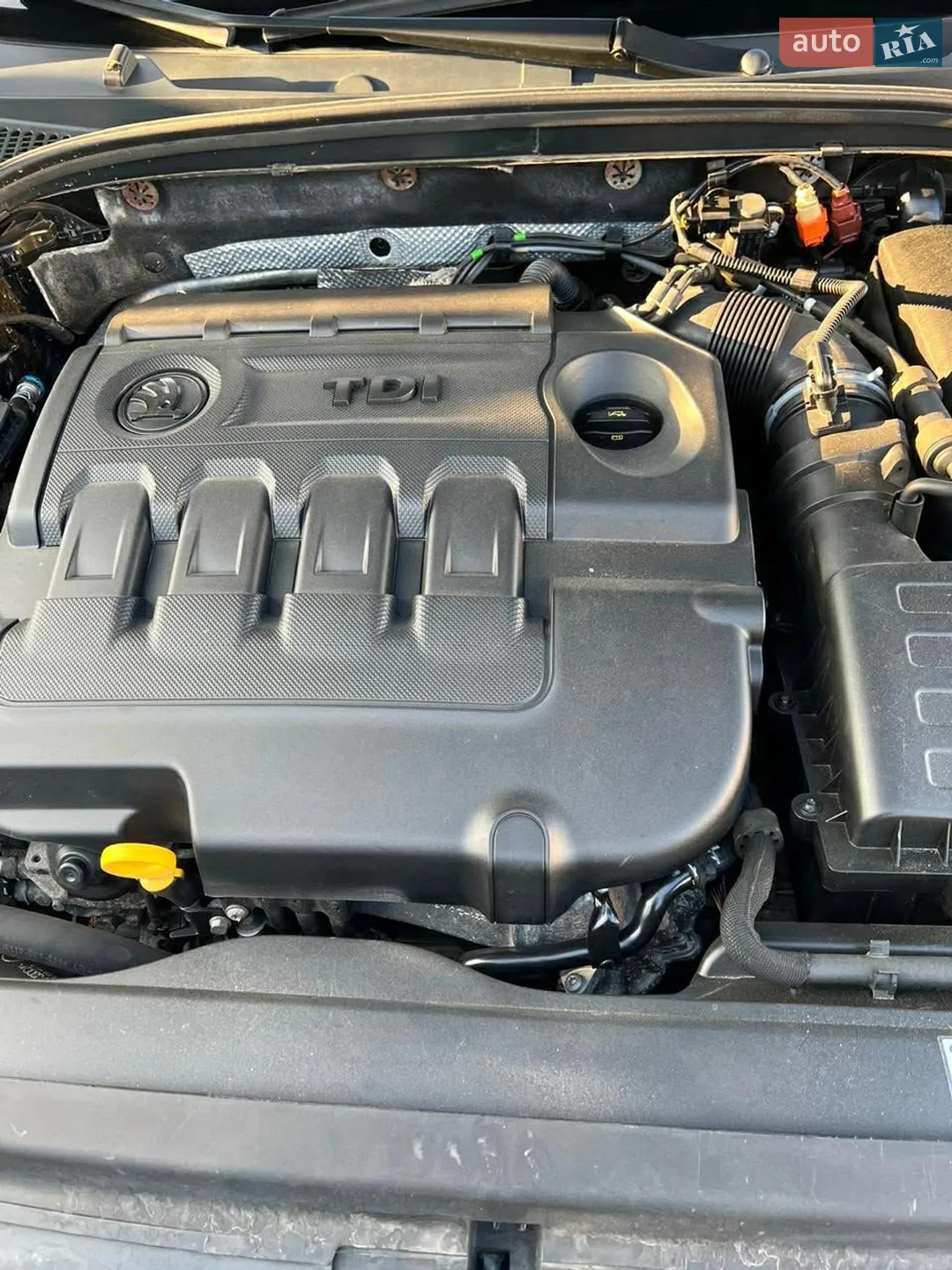2015 Skoda Octavia - мініатюра 12