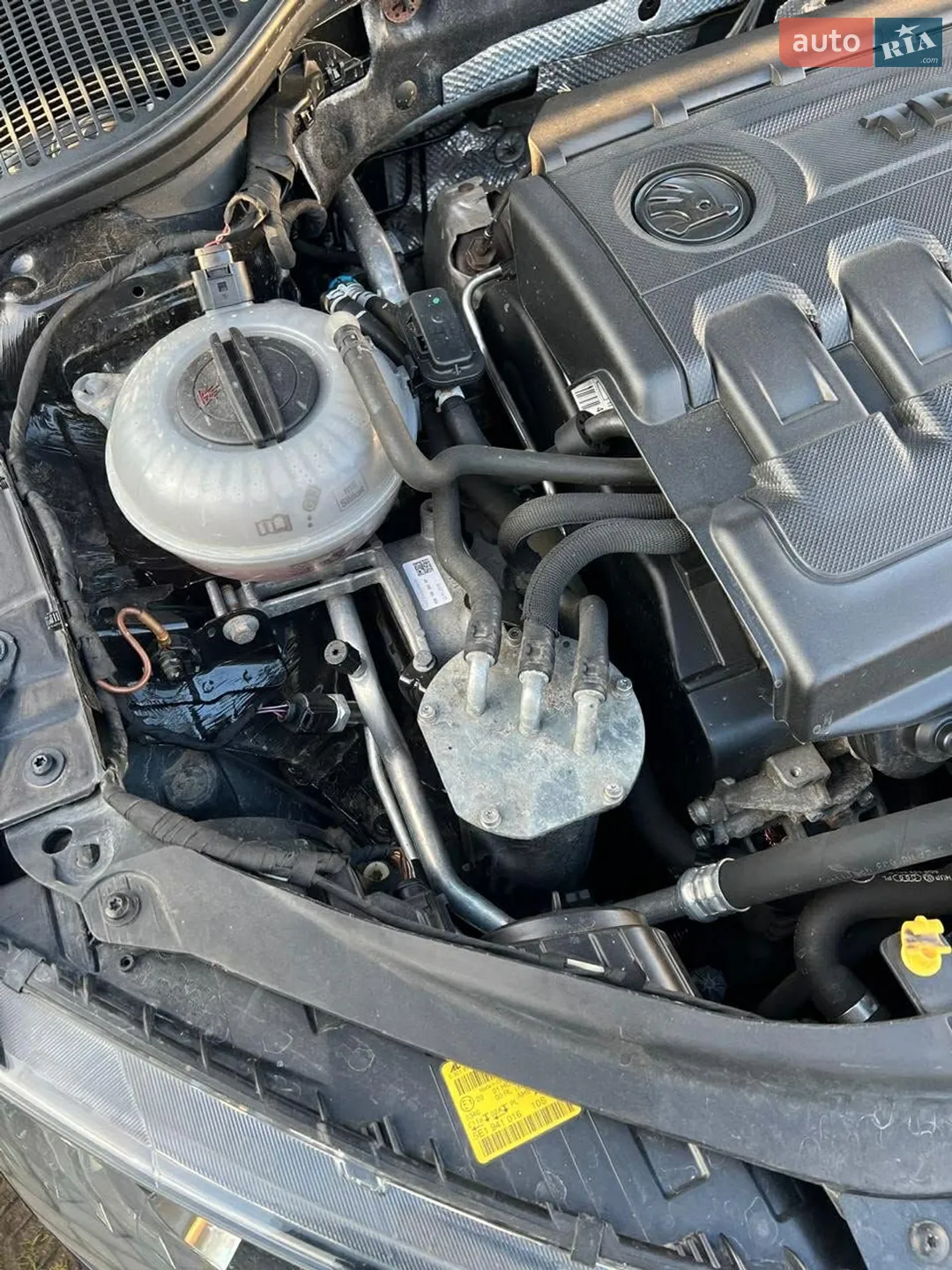 2015 Skoda Octavia - мініатюра 14