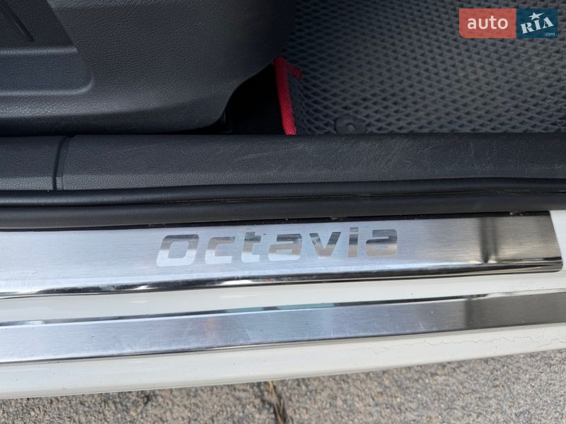 Універсал Skoda Octavia 2014 в Кам'янському