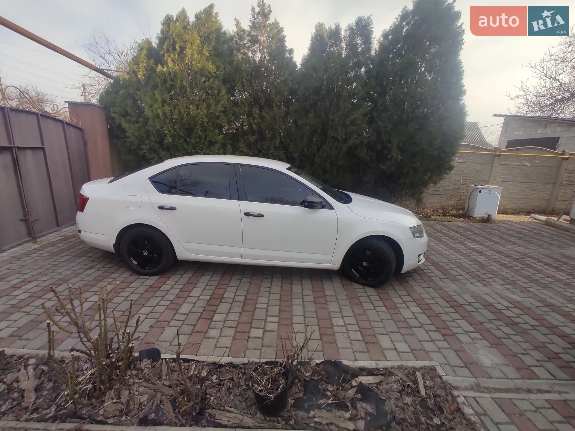 2013 Skoda Octavia - мініатюра 2