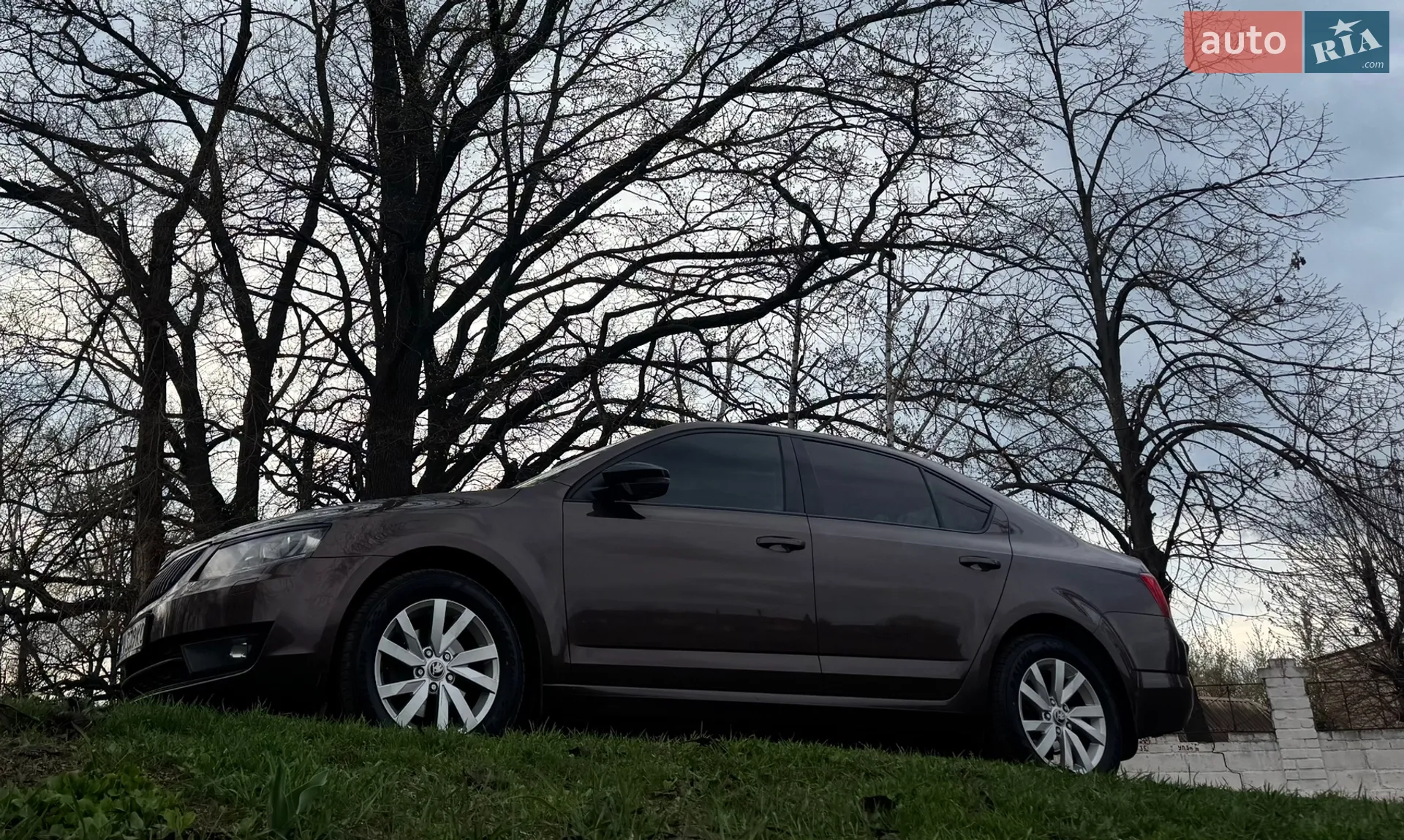 2013 Skoda Octavia - фото 1