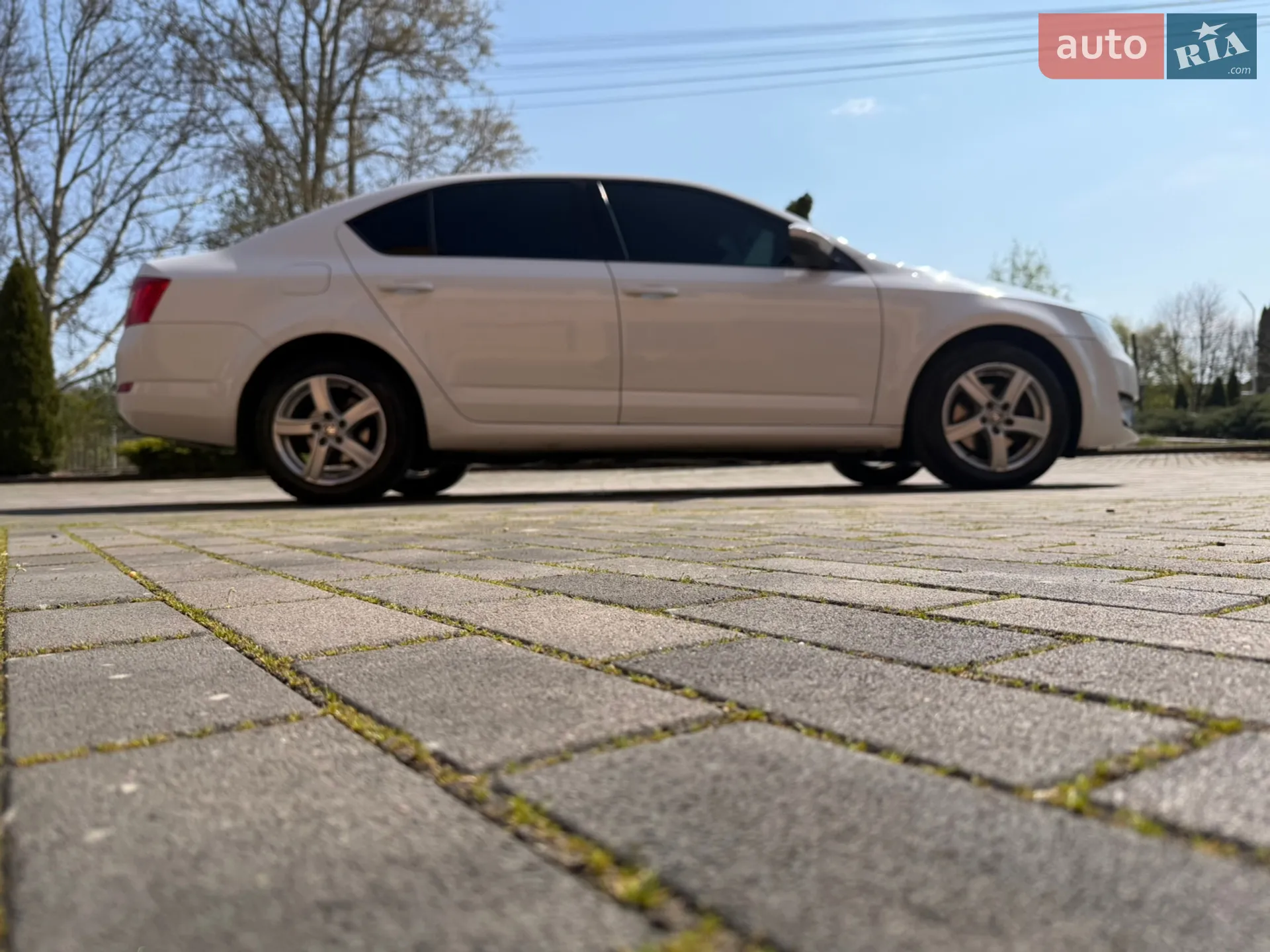 2013 Skoda Octavia - мініатюра 13