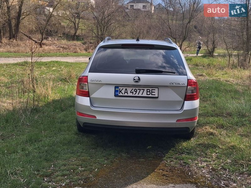 Універсал Skoda Octavia 2017 в Звенигородці фото 5 Універсал Skoda Octavia 2017 в Звенигородці