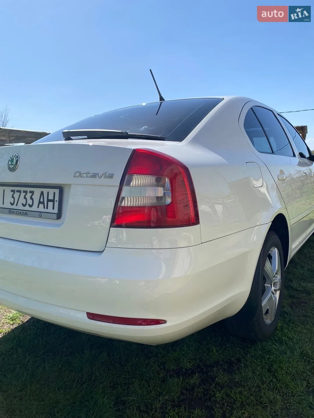 2011 Skoda Octavia - мініатюра 5