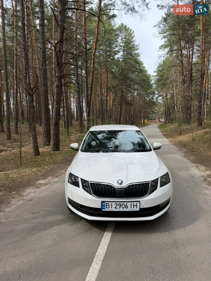 2018 Skoda Octavia - мініатюра 19