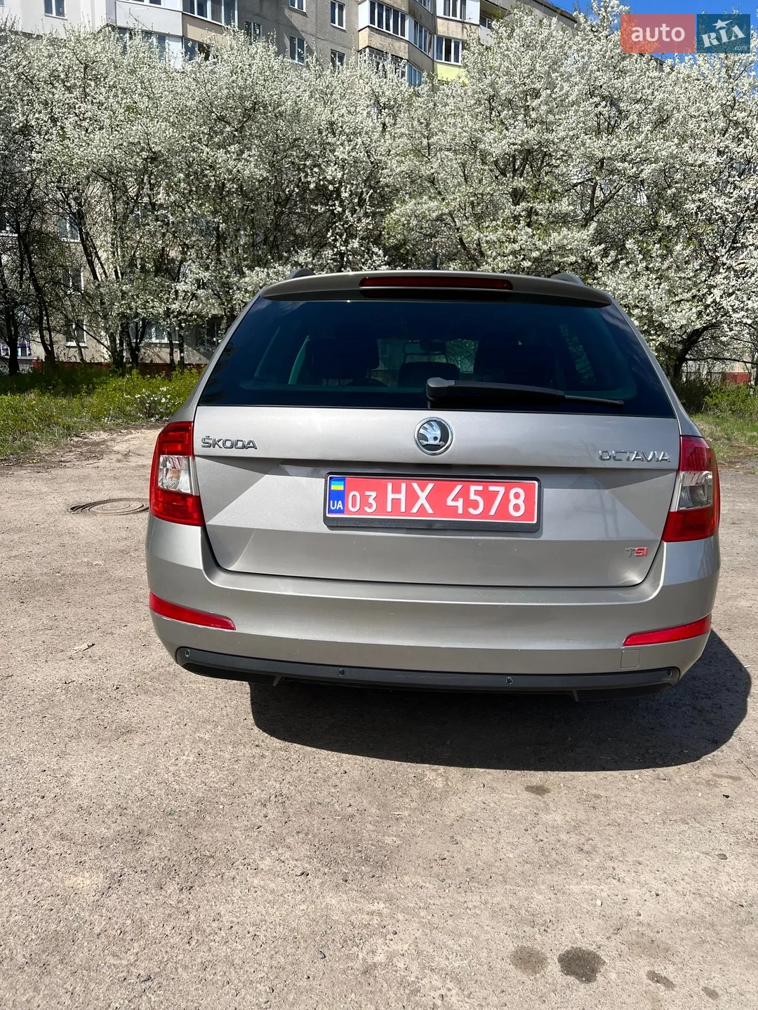 2013 Skoda Octavia - мініатюра 4