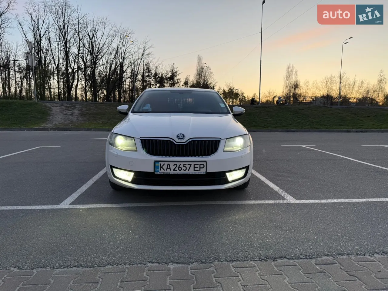 2014 Skoda Octavia - мініатюра 18