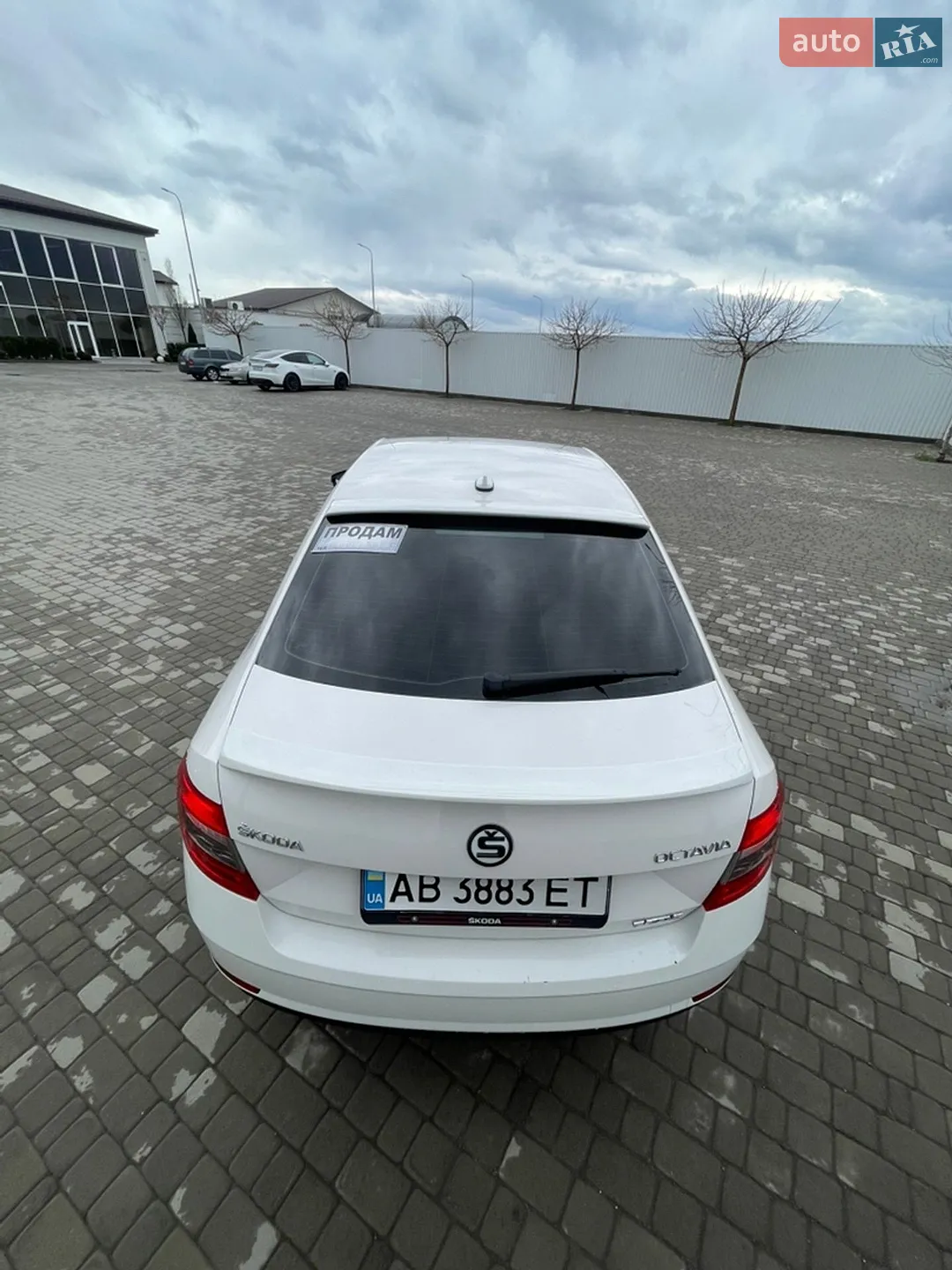 2017 Skoda Octavia - мініатюра 3