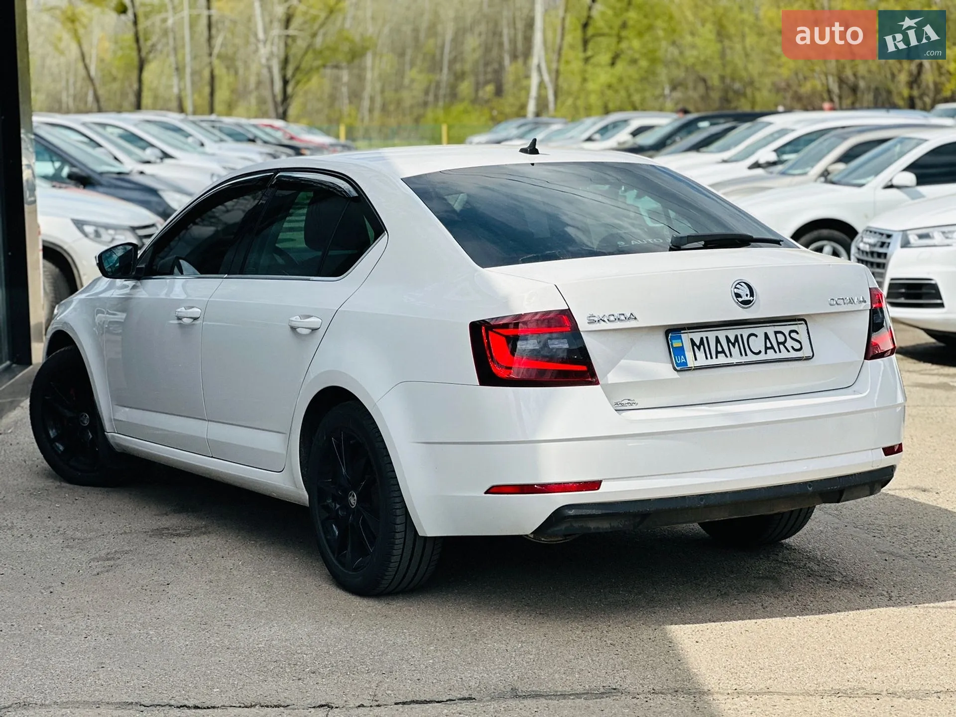 2018 Skoda Octavia - мініатюра 10